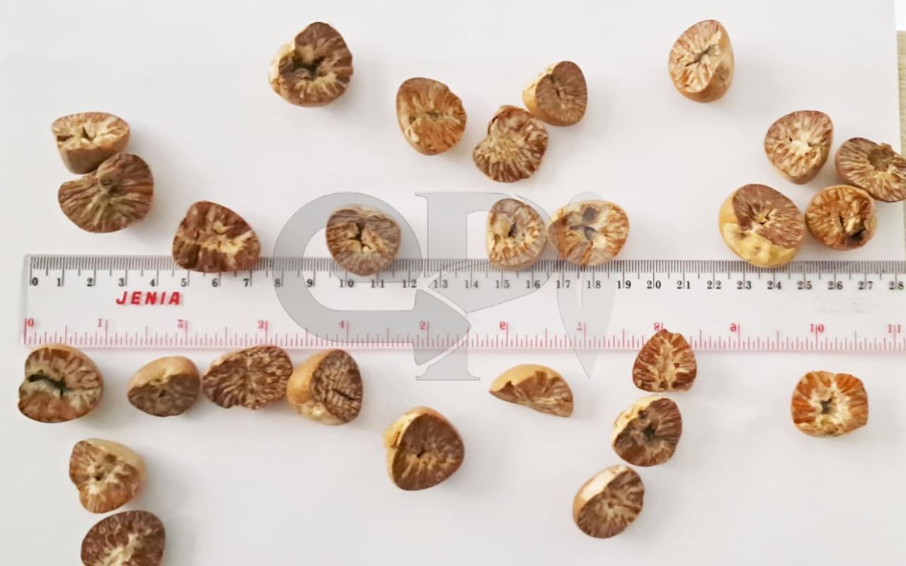 Betelnut