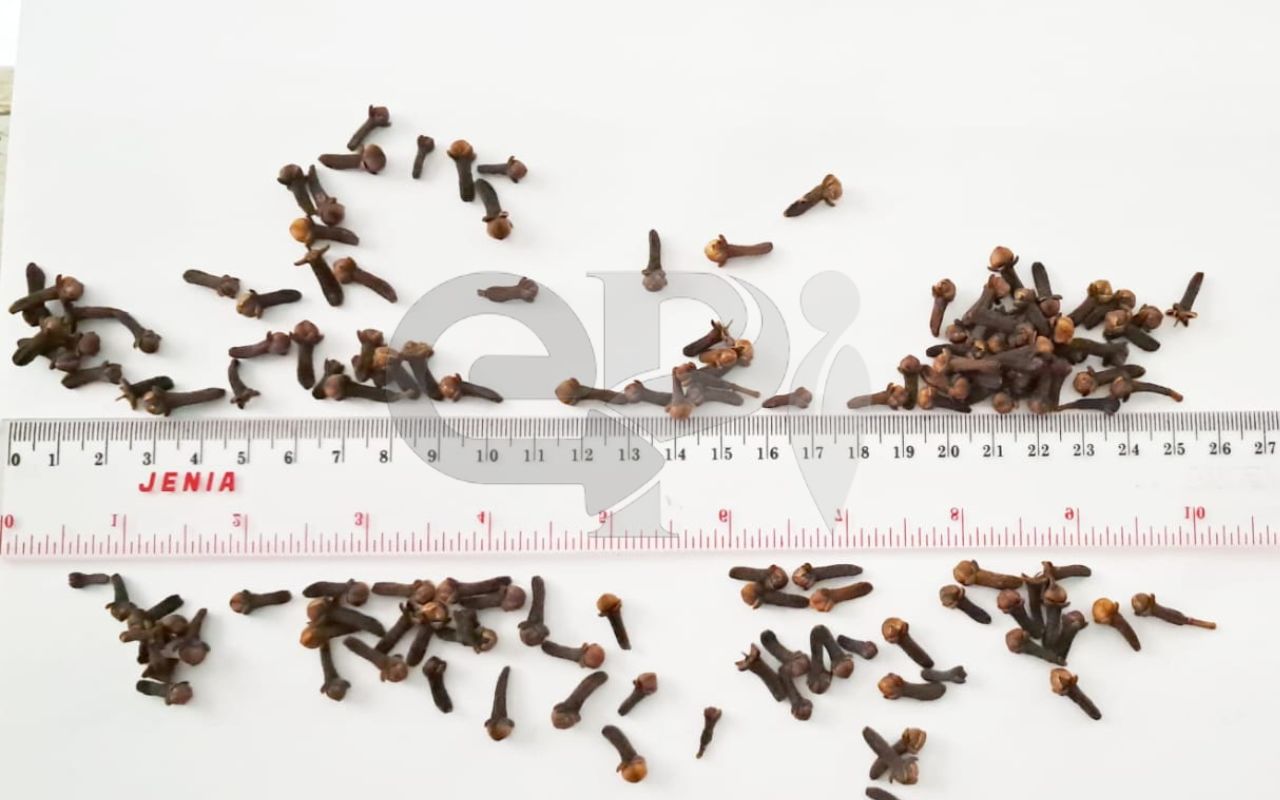 Cloves