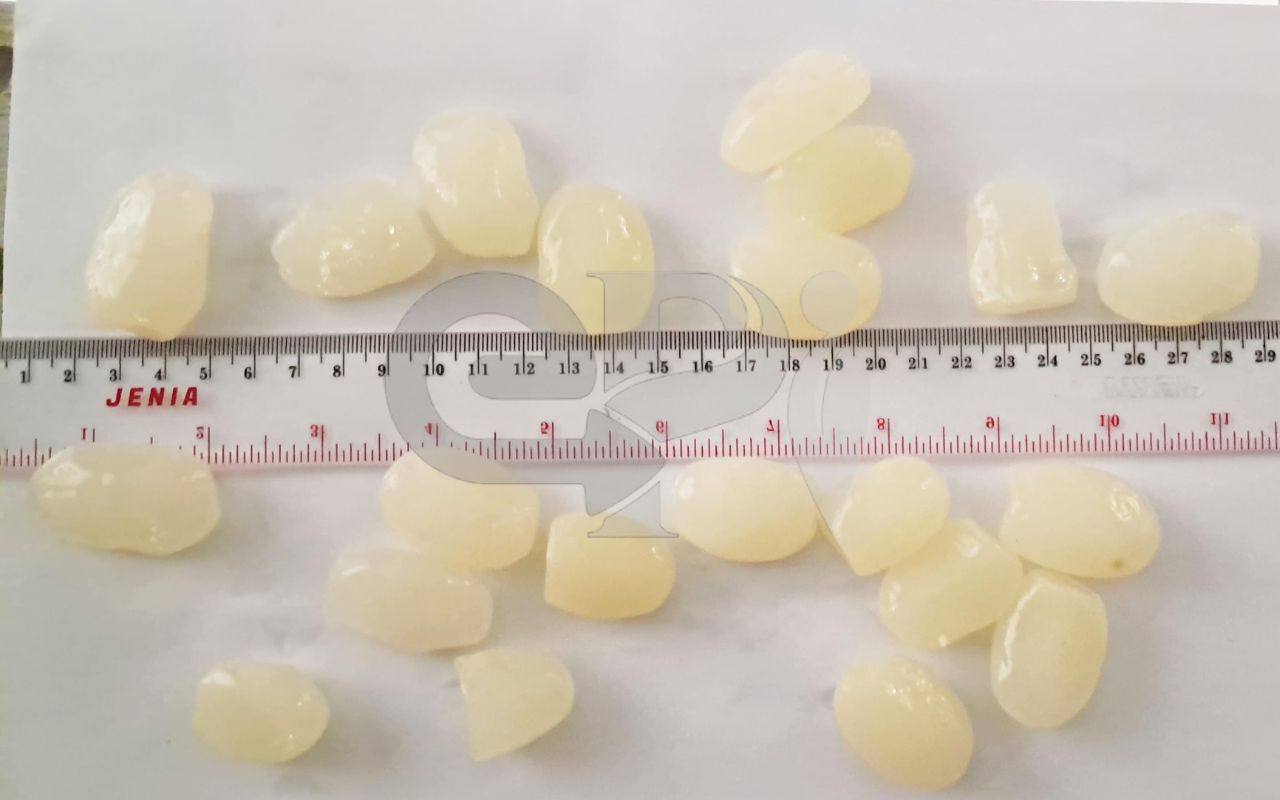 Sugar Palm Fruit